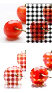 dot art - mosaic effects app iphone images 4