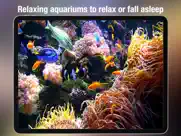aquarium live - real fish tank ipad images 2