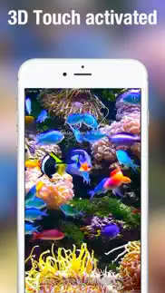 aquarium dynamic wallpapers iphone resimleri 3