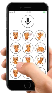 human to cat translator iphone images 2
