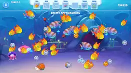 aquarium feeding fish world iphone images 1