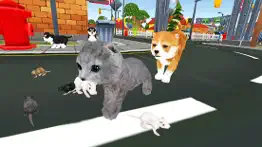 kitten cat craft vs dog 3d sim iphone images 1