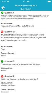 muscular system quizzes iphone images 4