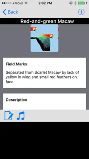 panama birds field guide basic iphone images 3
