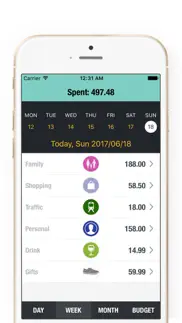 best budget planner-money book iphone images 4