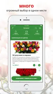 Цветы и подарки | Анапа iphone images 1