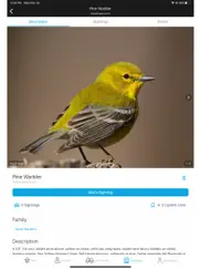 audubon bird guide ipad images 2