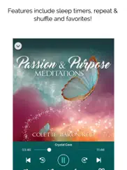 passion & purpose meditations ipad images 3