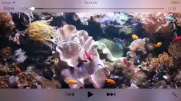 aquarium videos iPhone Captures Décran 3
