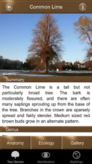 winter tree id - british isles iPhone Captures Décran 3