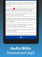 amplified bible pro ipad images 2