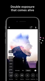 disflow - motion image editor iphone images 3