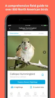 audubon bird guide iphone images 2