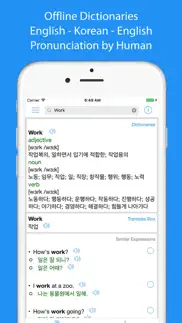 korean translator offline iphone images 3