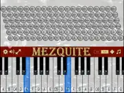mezquite piano accordion ipad images 2