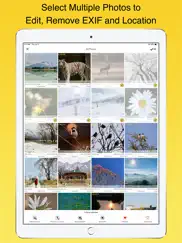 exif viewer by fluntro ipad images 3
