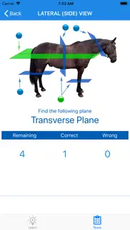 equine anatomy learning aid iphone images 4