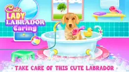 lady labrador caring iphone images 1