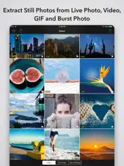 photo extractor - all in one ipad images 1