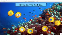 diving in the red sea iphone images 1