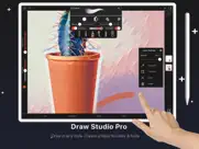 draw studio pro - paint, edit ipad resimleri 3