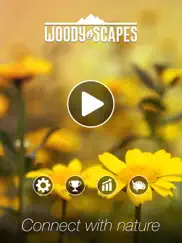 woody scapes block puzzle ipad images 1