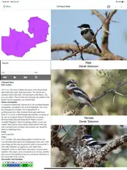 birds of zambia ipad images 2