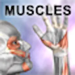 learn muscles: anatomy logo, reviews