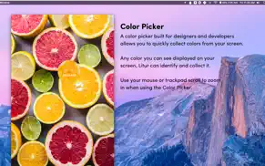 litur - organize your colors iPhone Captures Décran 4