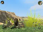 wild lion survival simulator iPad Captures Décran 1