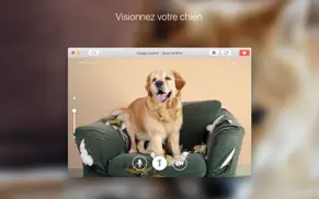doggy phone iPhone Captures Décran 2