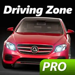 driving zone: germany pro inceleme, yorumları