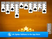 spider solitaire mobilityware ipad images 3