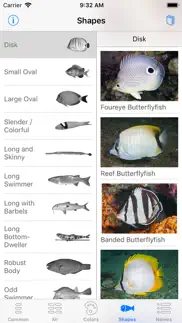easy fish id caribbean iphone images 2