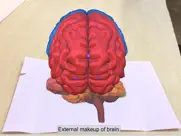 ar human brain ipad images 4