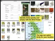 birds of britain pro iPad Captures Décran 2