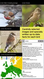 birds of britain pro iPhone Captures Décran 4