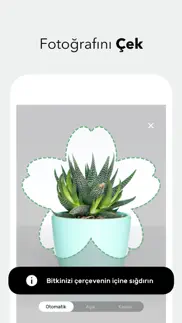 botanis – bitki tanıma iphone resimleri 4