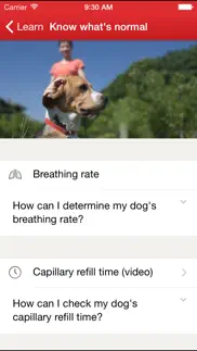 pet first aid: iphone images 2