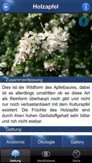 baum id deutschland iphone bildschirmfoto 4