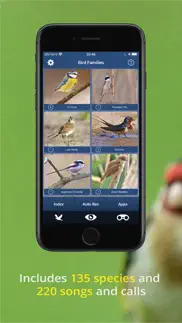 bird song id uk iphone images 4