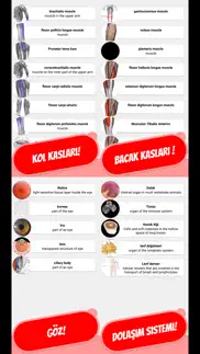 anatomi & iskelet quiz türkçe iphone resimleri 4