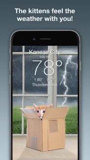weather kitty: weather + radar iphone images 2