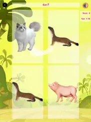 learn about animals for kids ipad images 4