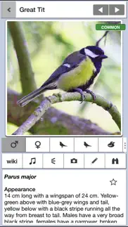 birds of britain lite iphone images 1