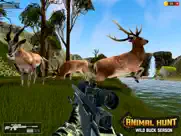 deer hunter hunting - clash 3d ipad images 4