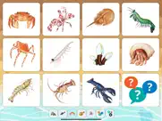 marine creatures cards of sea ipad images 4