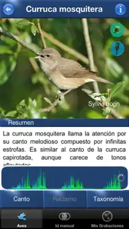 cantos de aves id iphone images 2