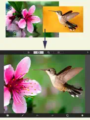 picmix ipad images 1