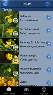 wild flower id british isles iphone images 3